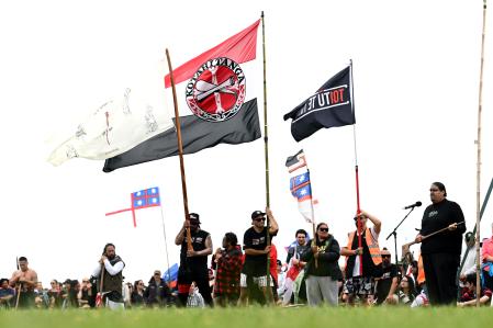 Maori Party Protest