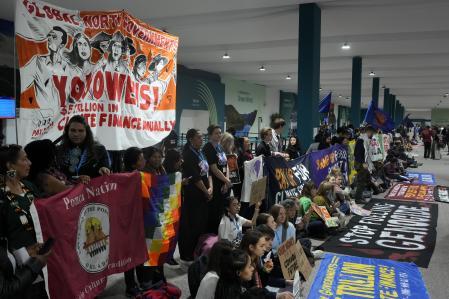 Activists protesting at COP29