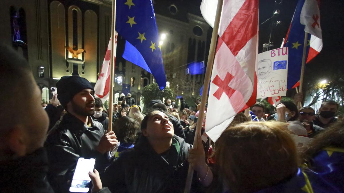 Protesters in front of Georgian Parliament