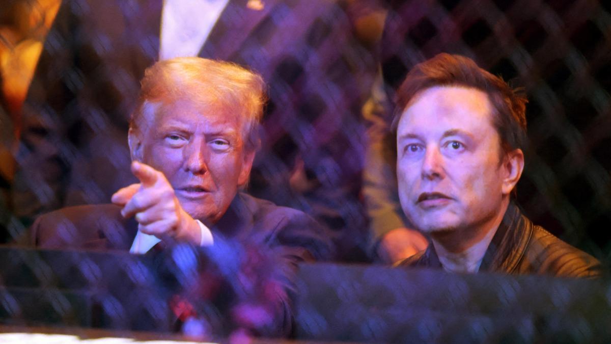 In Trump's shadow, Elon Musk maneuvers to shape the future government