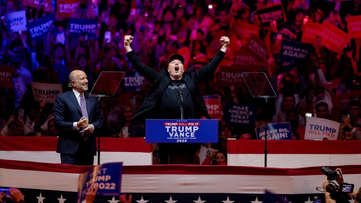 Musk is Donald Trump's destabilizer-in-chief
