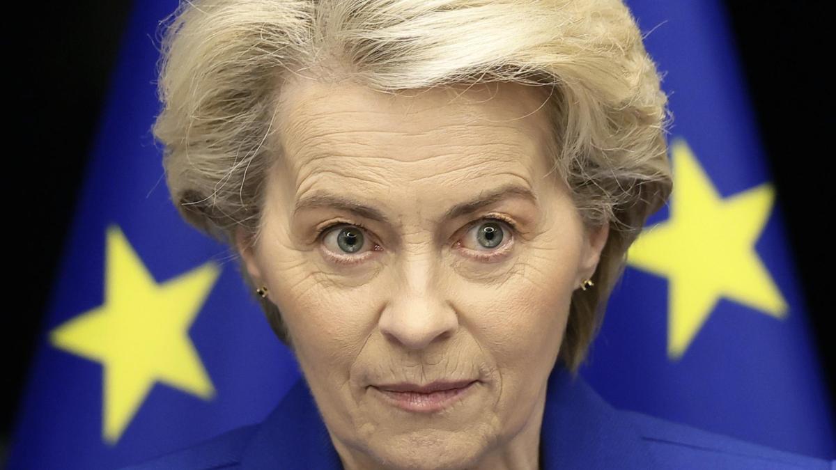 Von der Leyen's unstable majority