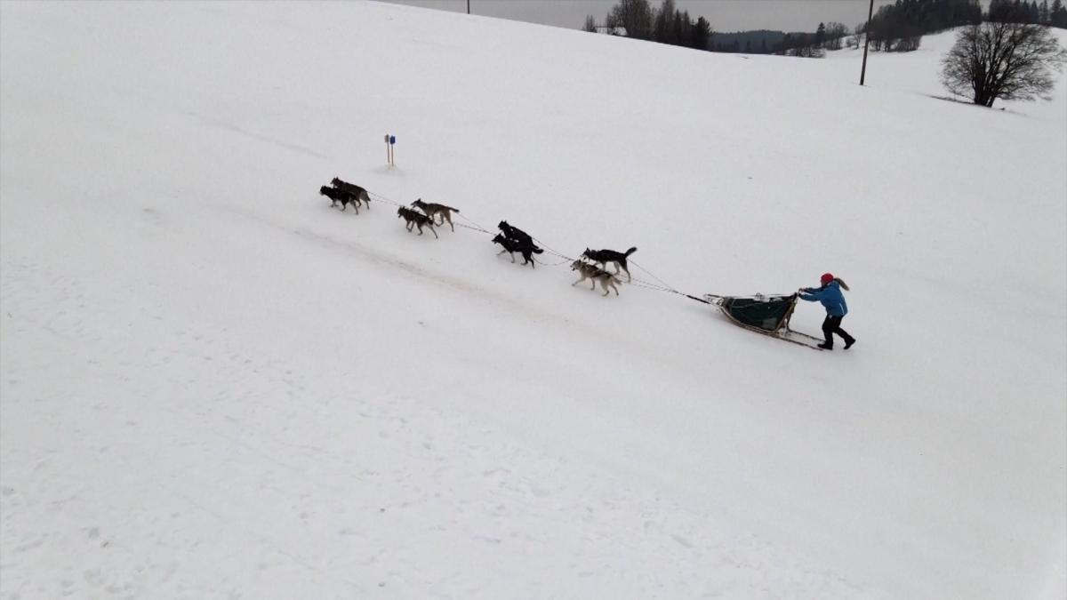 A unique challenge in the Czech Republic