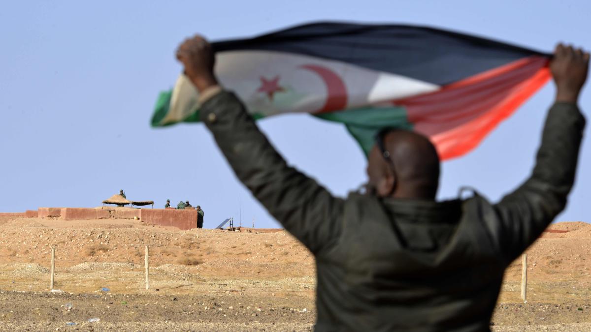 Expectation in Morocco before the return of the "Messiah" Donald Trump