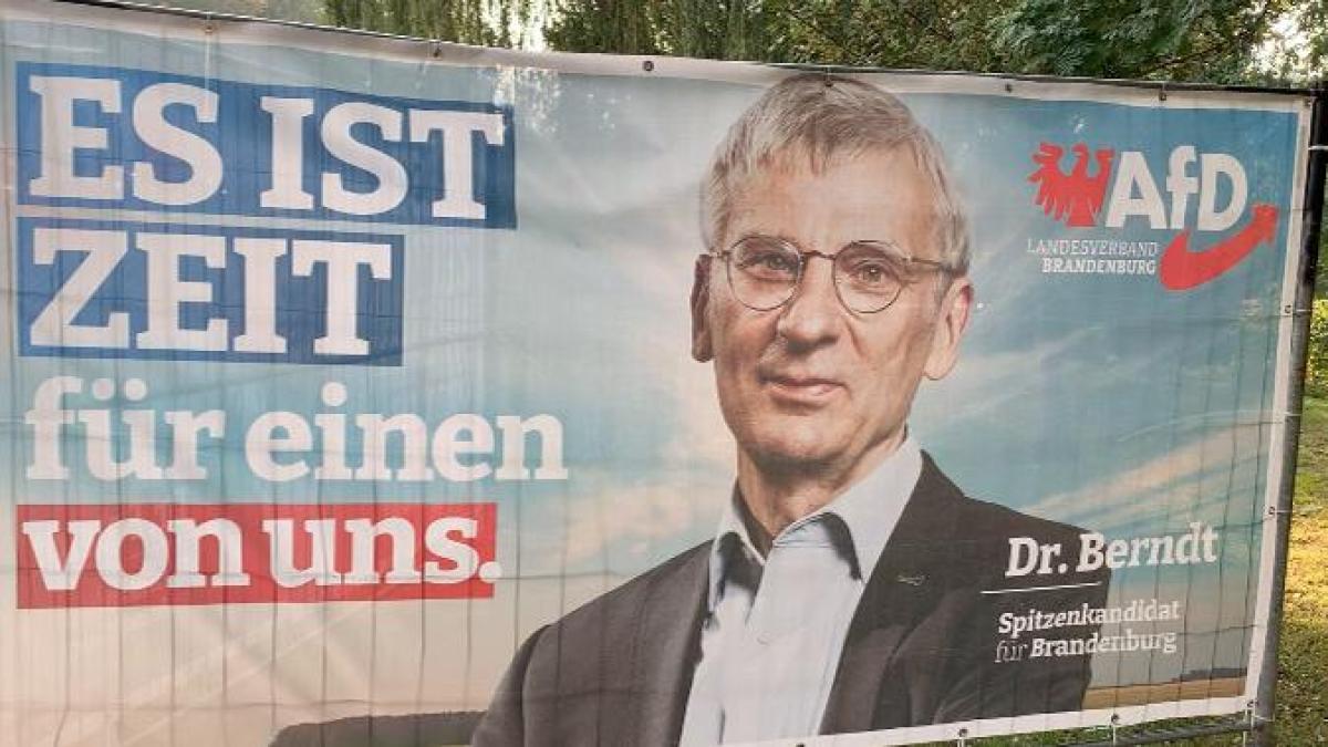 The alternative ultra -rightist for Germany has received 999,900 euros of a mysterious donor