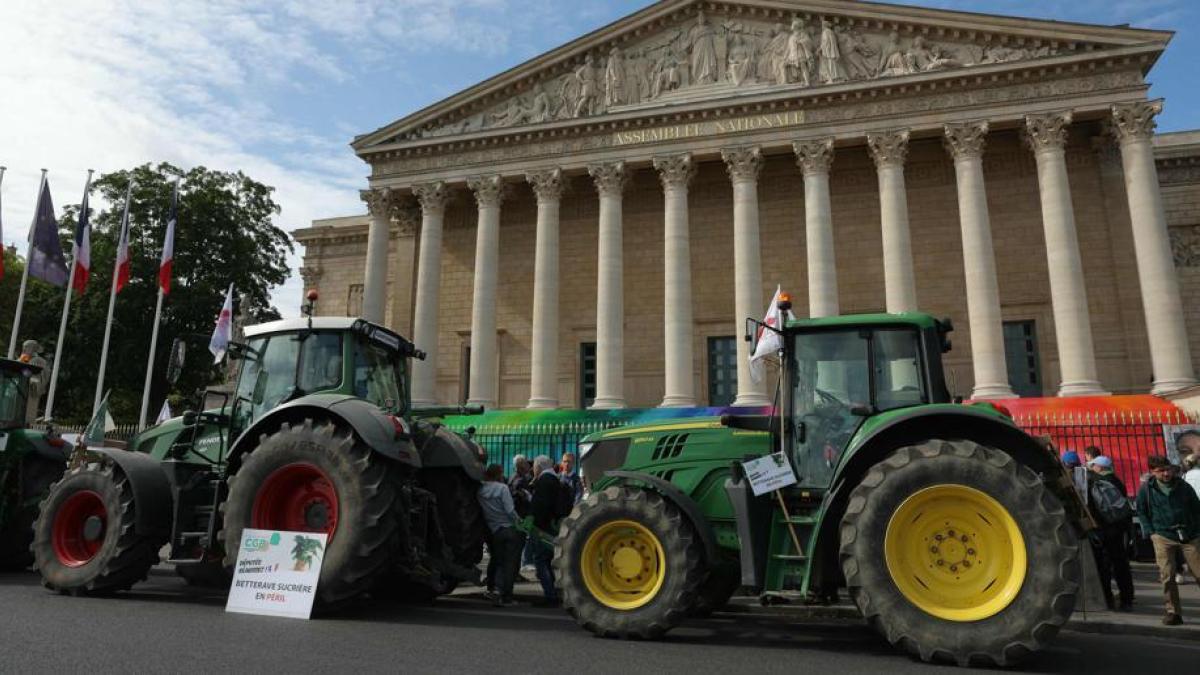 French farmers protest before Parliament