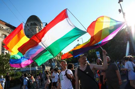 Protest flags