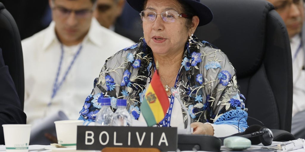 Bolivia alerts before the OAS that the mobilizations promoted by Evo Morales put the elections at risk