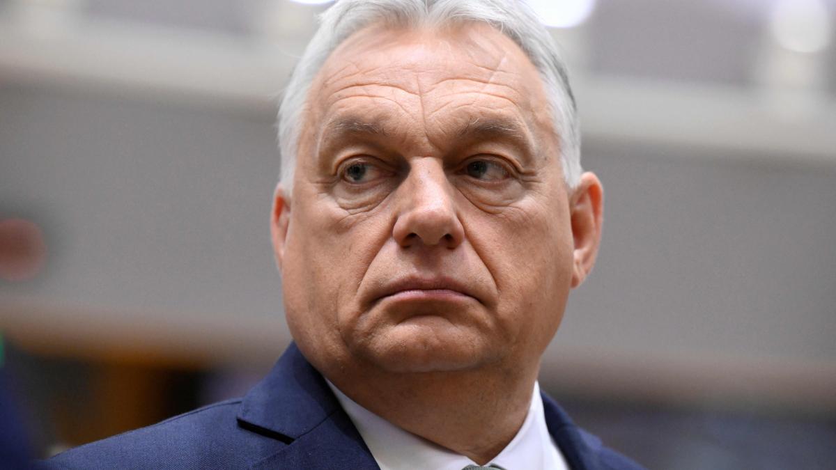 Orbán says that in the progress of pride there were "disgusting things" and was ordered from Brussels