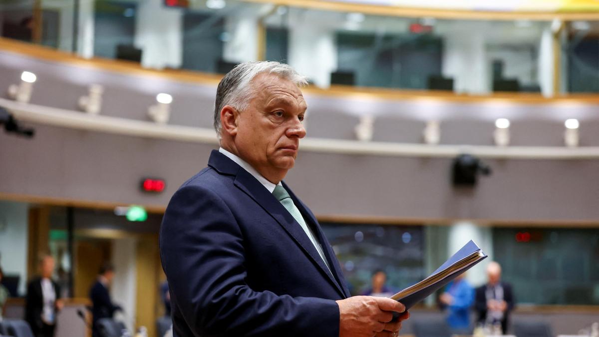 The LGTBIQ+, Brussels and Ukraine collective in the EU