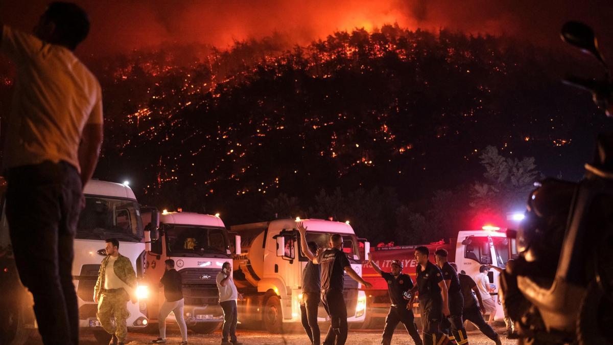 Four dead and thousands of evacuated in Türkiye because of four simultaneous fires