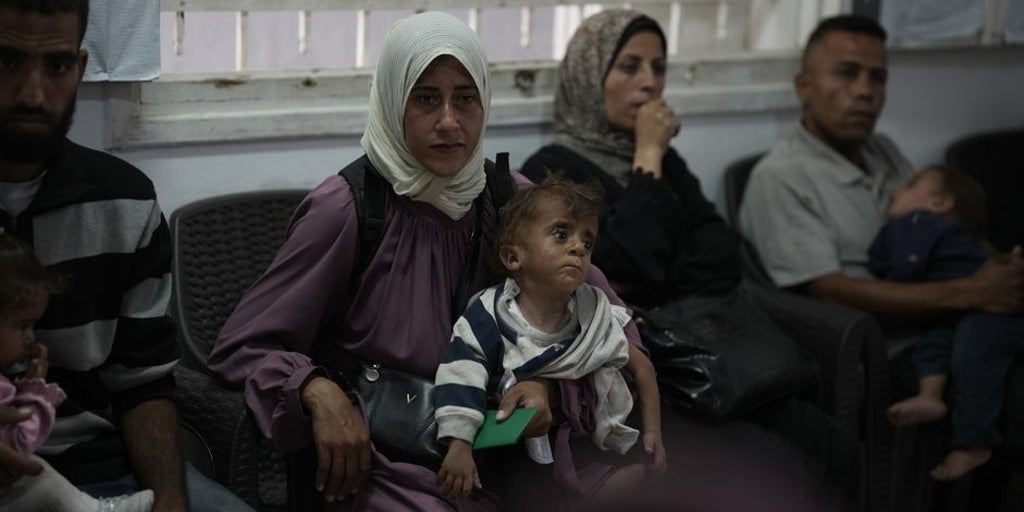 "It would be better if a bomb fell in Gaza and we died at once, instead of dying little by little every day"