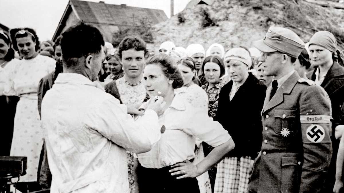 A database returns name and memory to victims of Nazi medical experiments