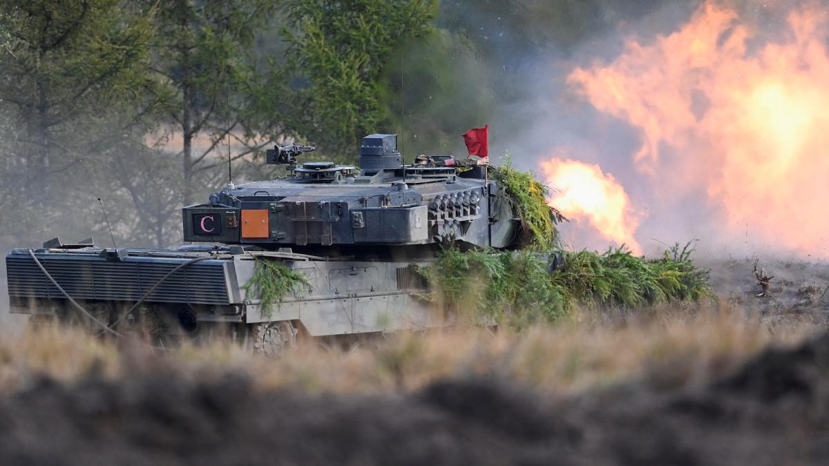 The German government gives green light to a voluntary military service that may be mandatory