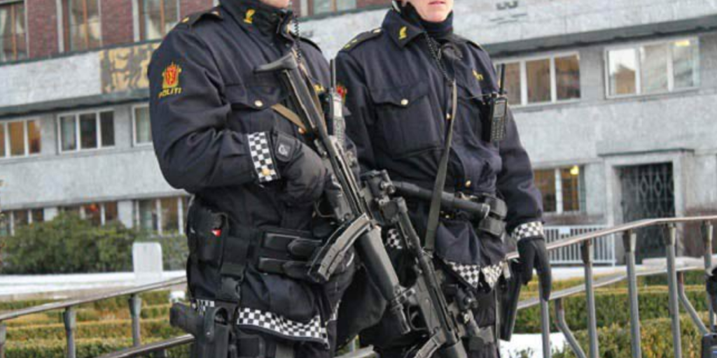 The teenager accused of killing a worker from a Oslo hostel planned an attack on a mosque