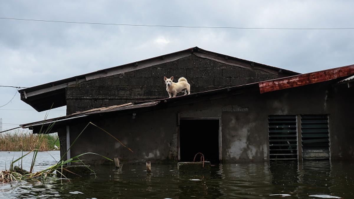 An earthquake of magnitude 6.9 shakes the Philippines and unleashes the tsunami alert