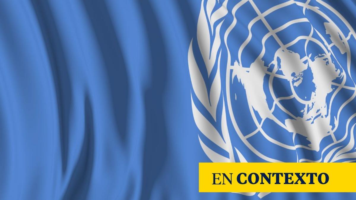 Does the UN have a future?