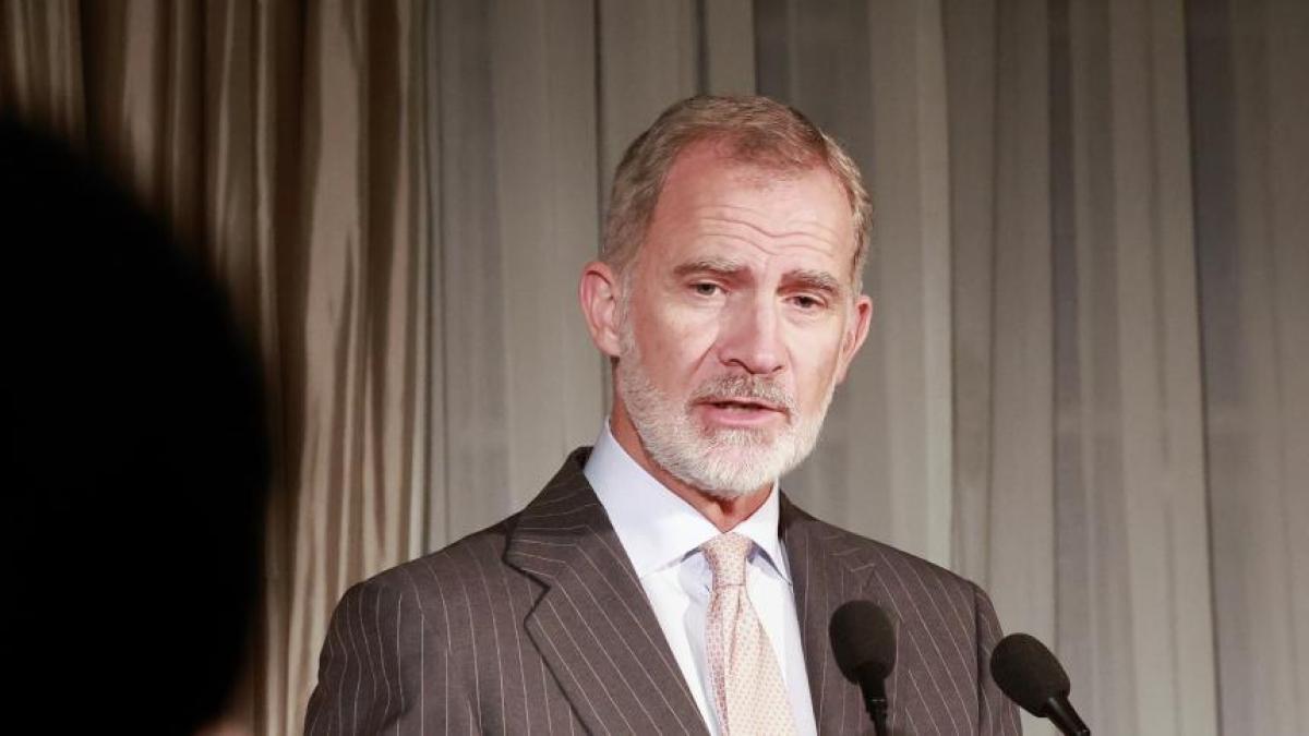 Felipe VI claims the UN and asks that there are no hesitations or forgetfulness to crisis like Gaza