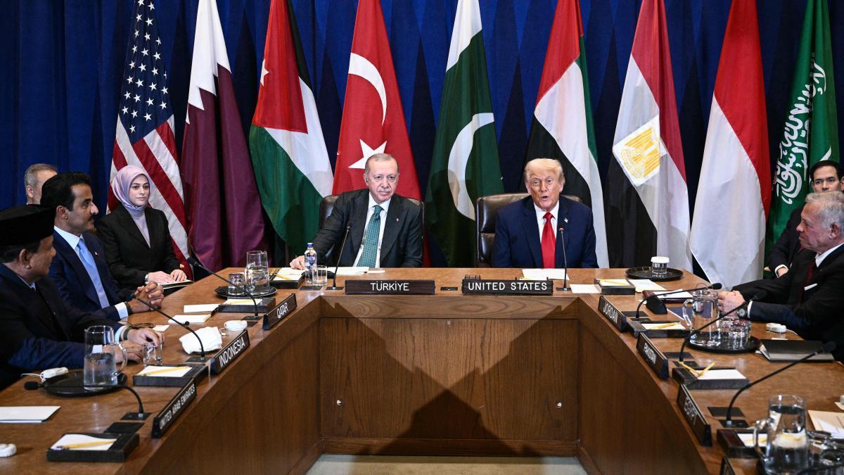 The Arab world supports Trump's peace proposal in Gaza