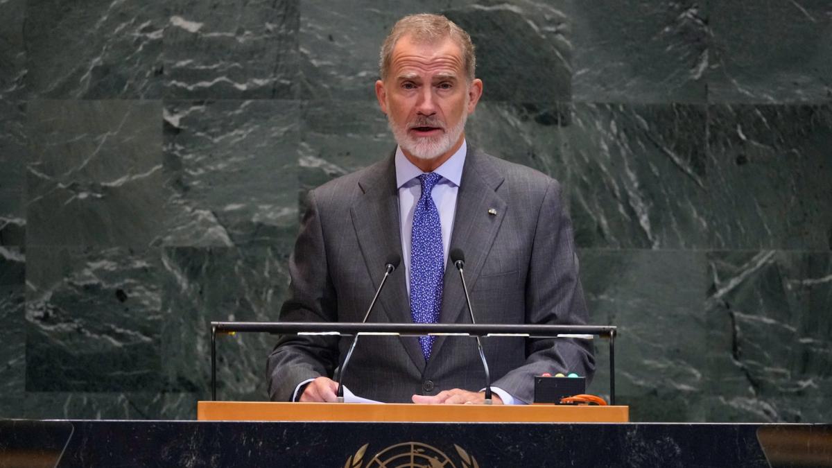 "They already stop this massacre in Gaza" claims Felipe VI to Israel from the UN Strack