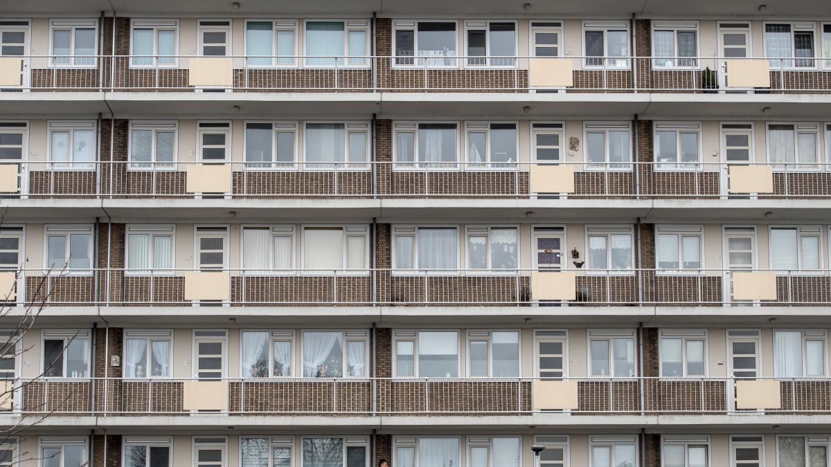 Housing and migration, the Wilders cocktail to prevail in the Netherlands