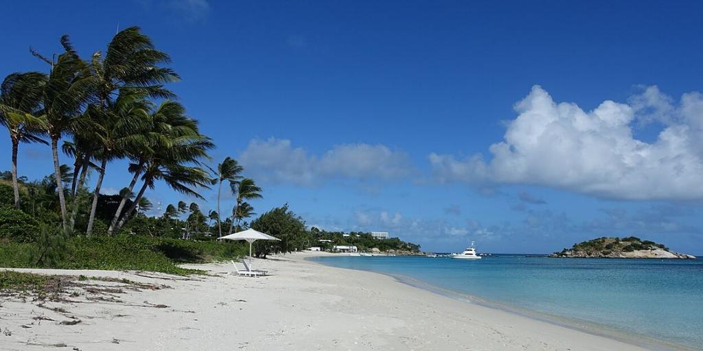 They investigate the death of an 80-year-old woman who was abandoned on a desert island by the cruise ship she was traveling on