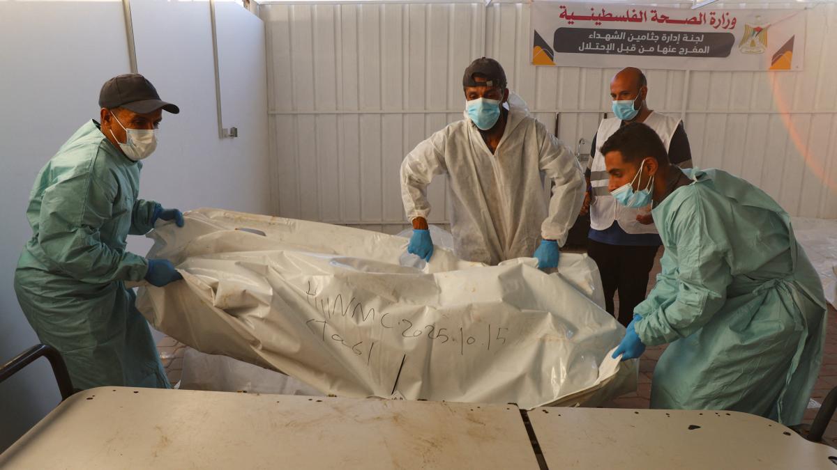 Who are the dead Palestinians?